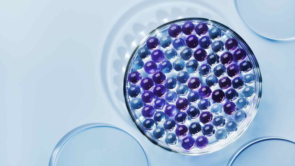 Harnessing Hydrogen’s Antioxidant Power to Treat Autoimmune Disease