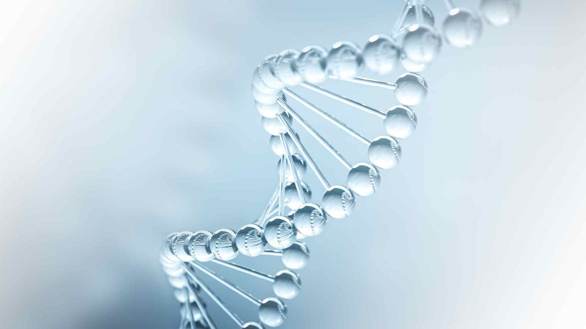 Molecular hydrogen: a preventive and therapeutic medical gas for various diseases