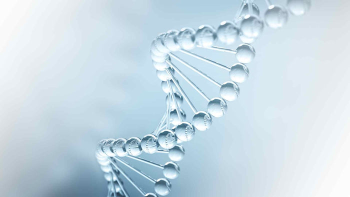 Molecular hydrogen: a preventive and therapeutic medical gas for various diseases