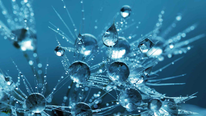 Consumption of water containing a high concentration of molecular hydrogen reduces oxidative stress and disease activity in patients with rheumatoid arthritis: an open-label pilot study